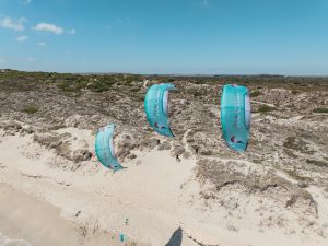 REEDIN WHISPERMODEL 2025