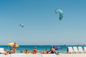 REEDIN WHISPERMODEL 2025