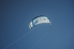 REEDIN MASTERMODEL 2026