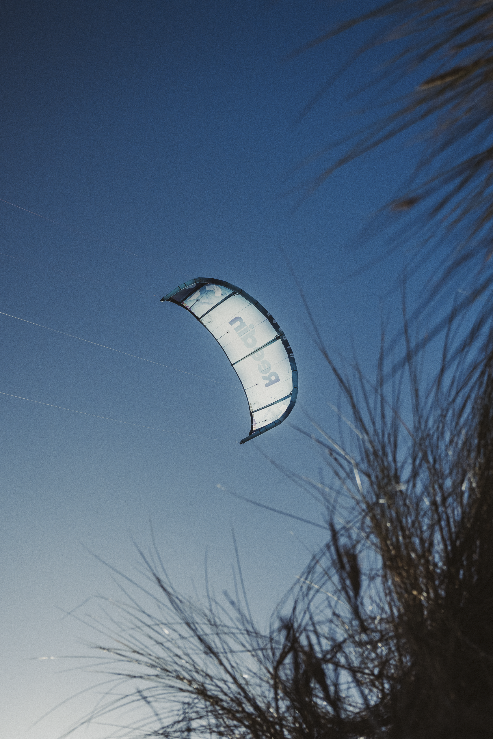 REEDIN MASTERMODEL 2026 - Image 11