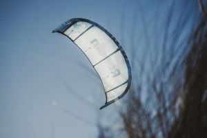 REEDIN MASTERMODEL 2026