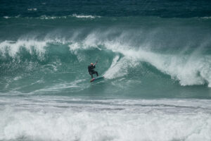 REEDIN SNACKBACK 2026