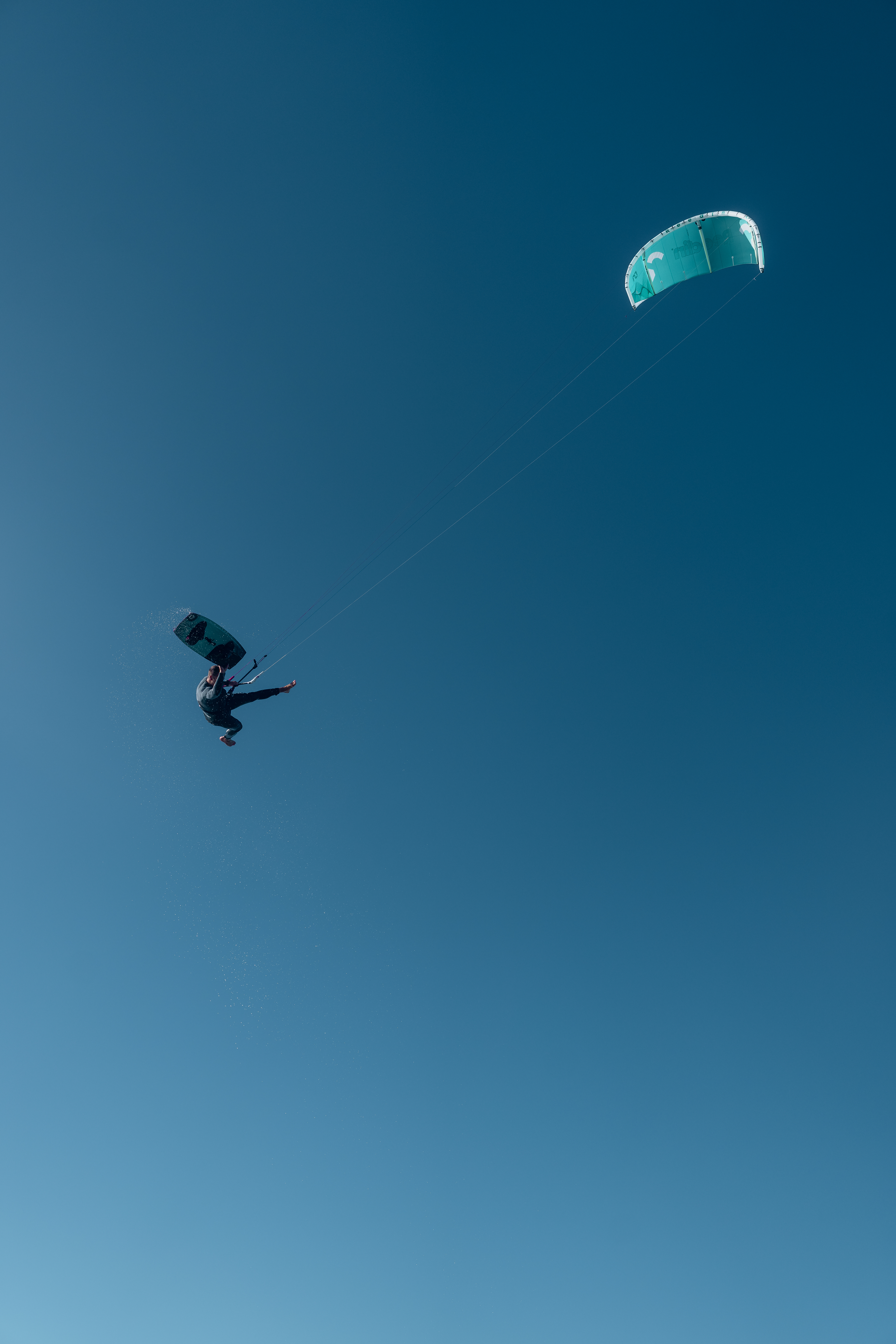 REEDIN SUPERMODEL A.F.T. 2026 - Image 29