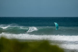 REEDIN SUPERMODEL A.F.T. 2026