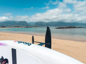 Reedin StewardFoil 2026