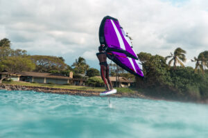 Reedin WINGPACK 2026